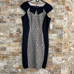 NEW Dressbarn Women’s dress Size 14